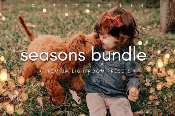 Download SEASONS BUNDLE Lightroom Presets - Premium Resources
