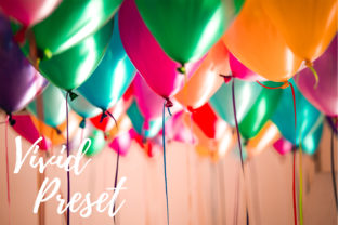 Download Lightroom Presets - Vivid Bundle - Premium Resources